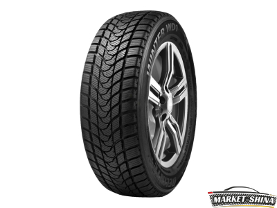 Delinte Winter WD1 205/55 R16 91H