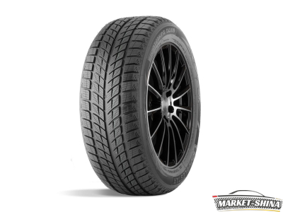 Double Star DW09 215/45 R17 91H