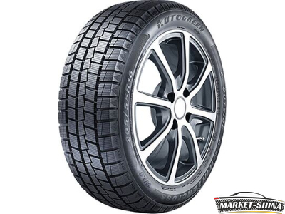 Autogreen WL6 205/55 R16 91S