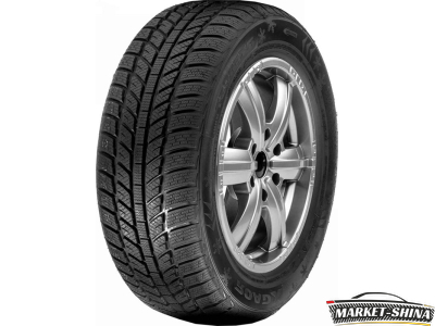 Roadx RXFrost WH01 175/65 R14 82H